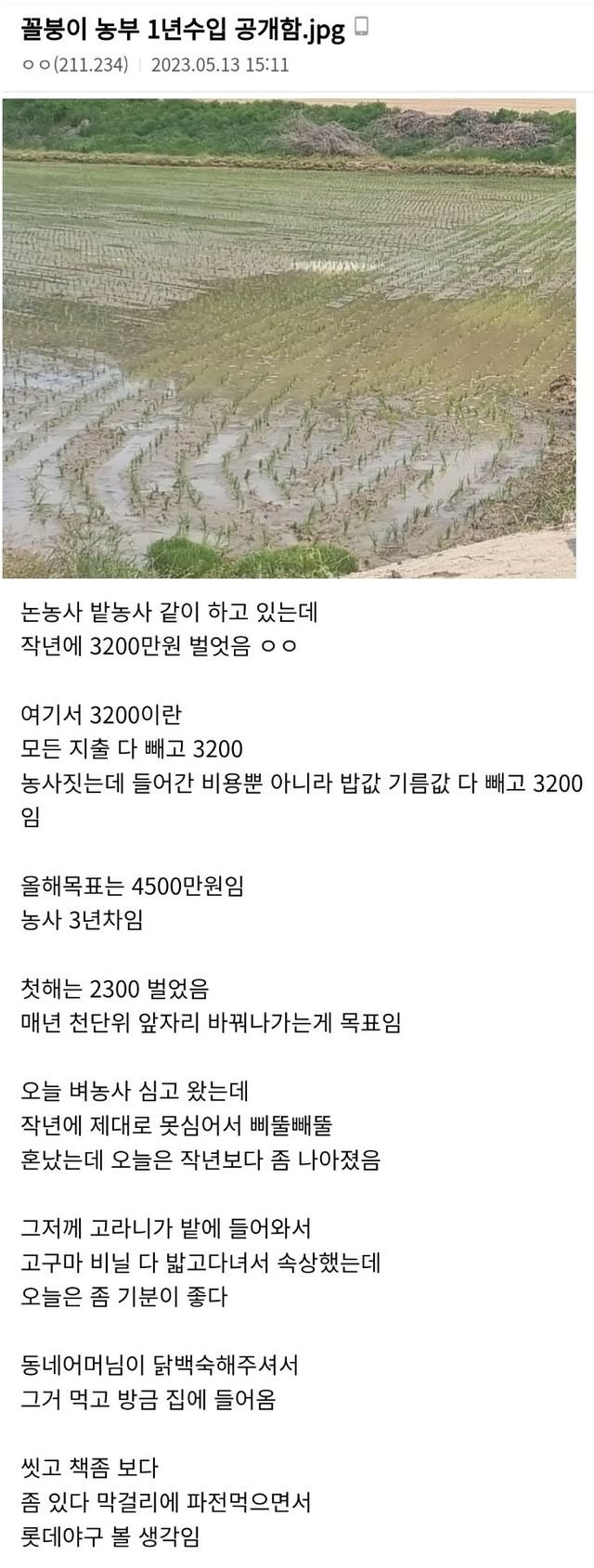 게시물 이미지