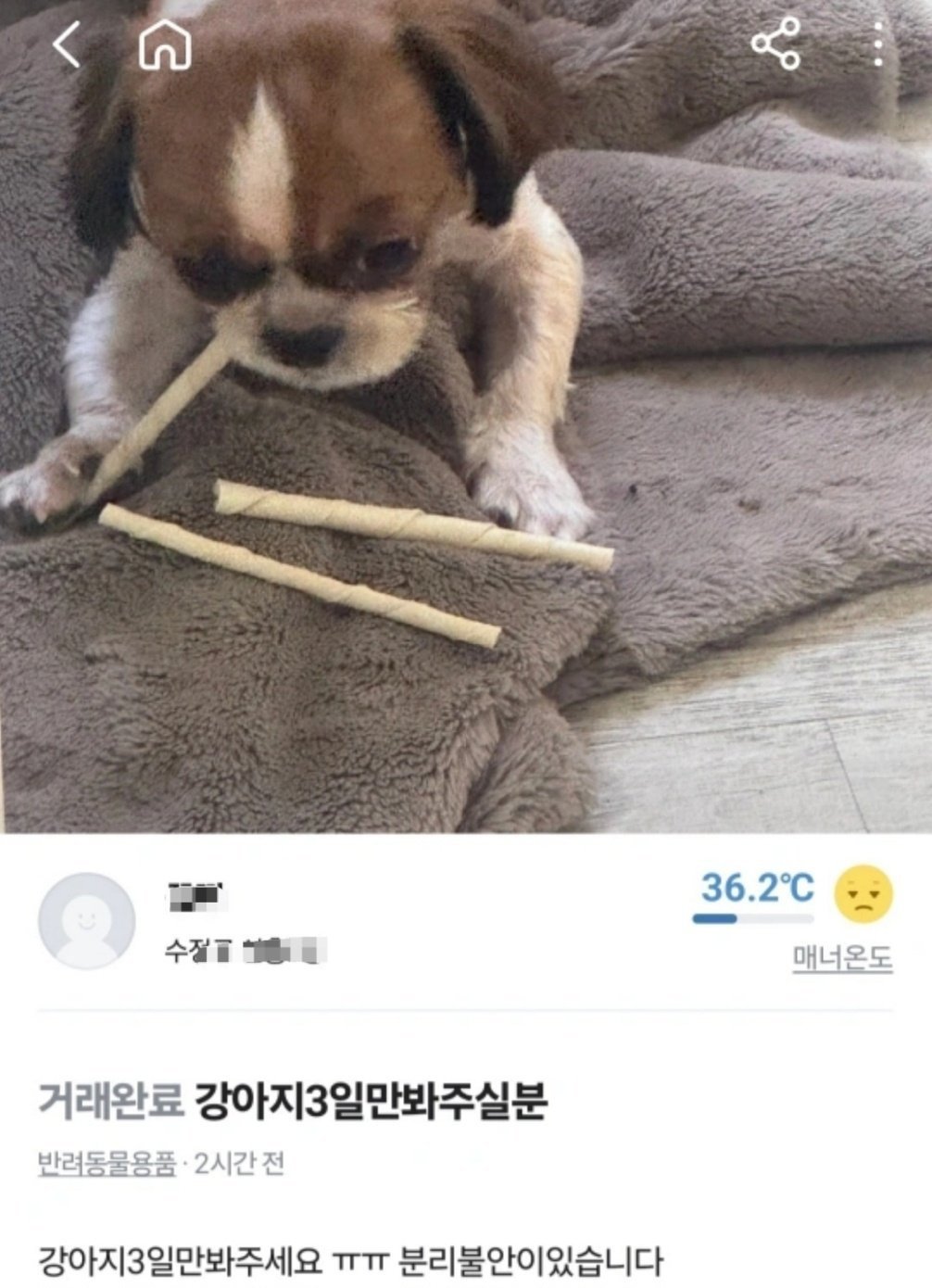 게시물 이미지