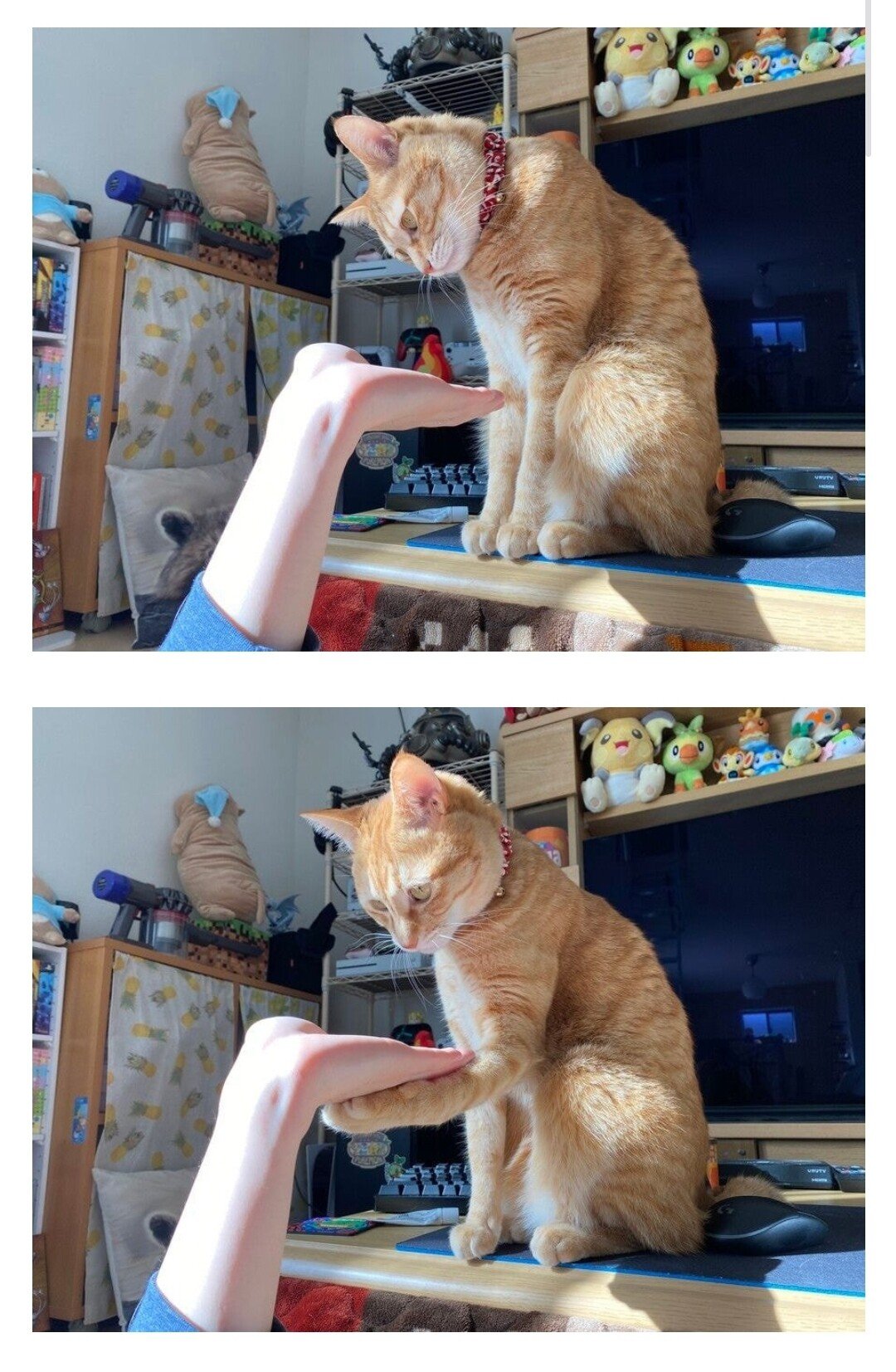 게시물 이미지