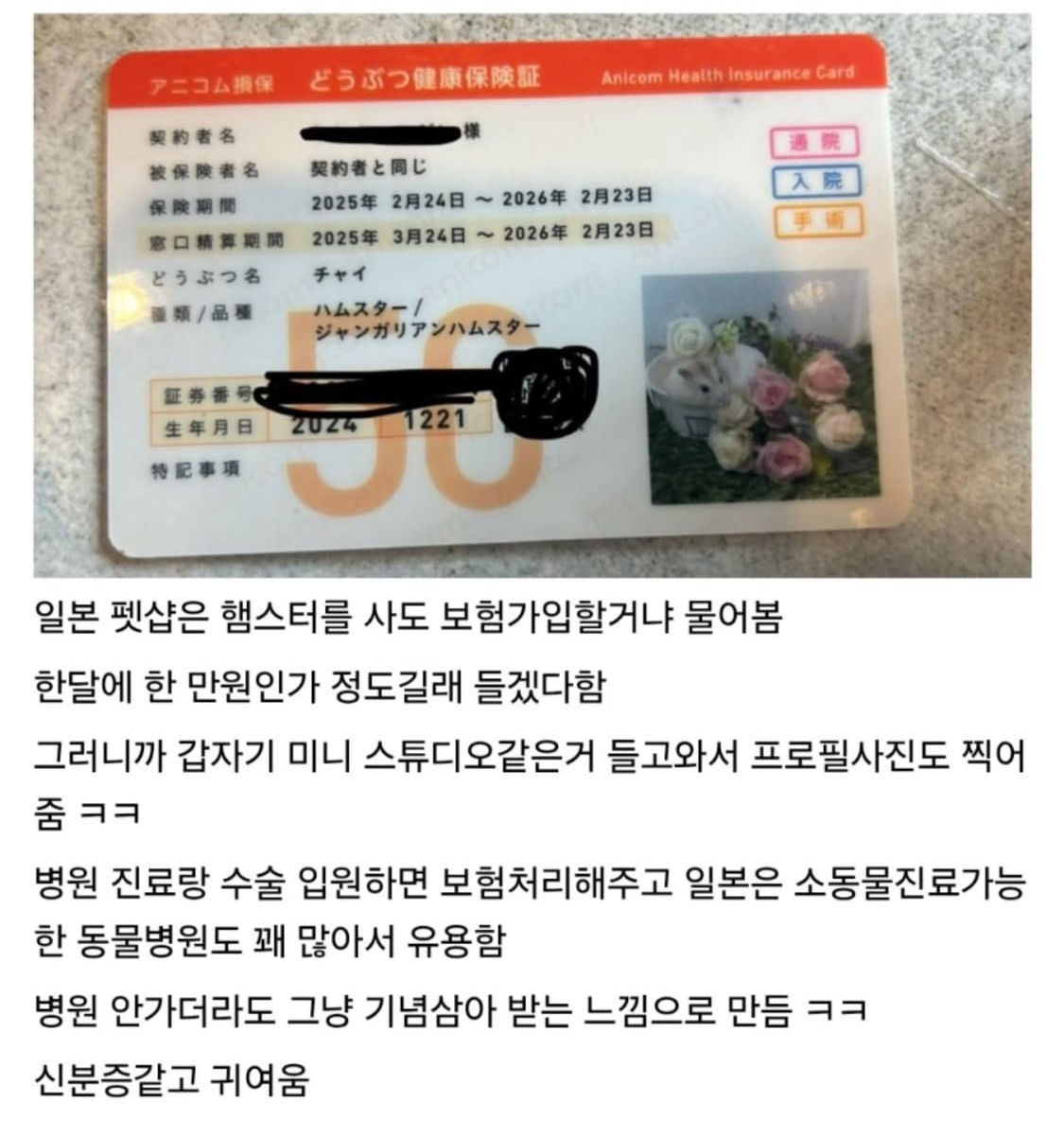 게시물 이미지