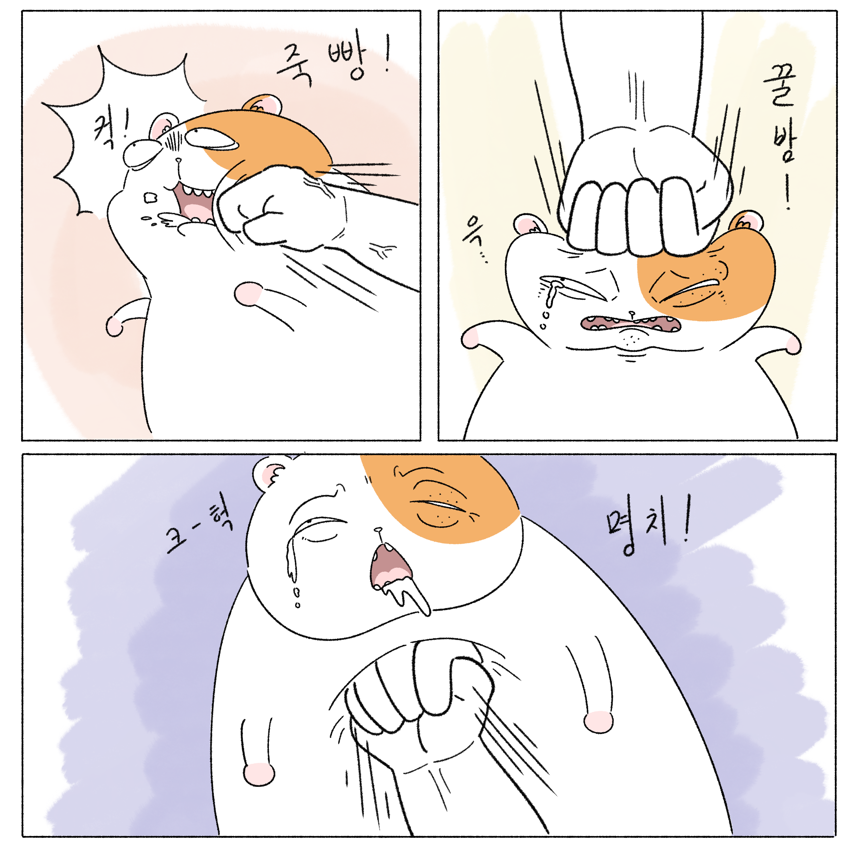 게시물 이미지