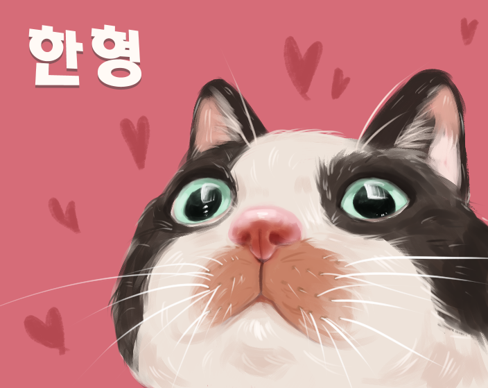 게시물 이미지