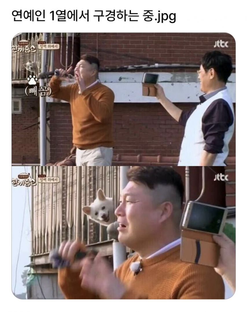게시물 이미지