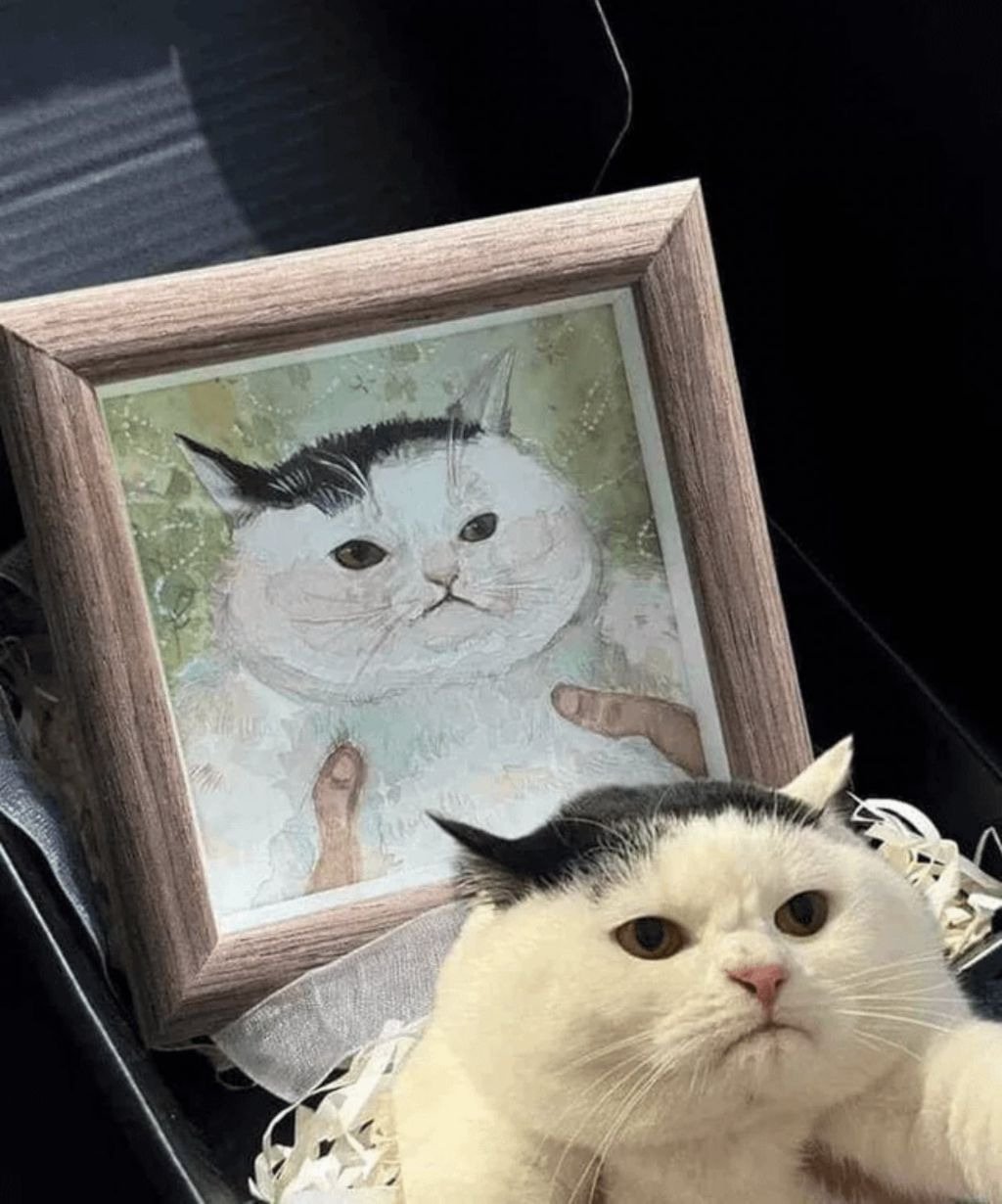 게시물 이미지