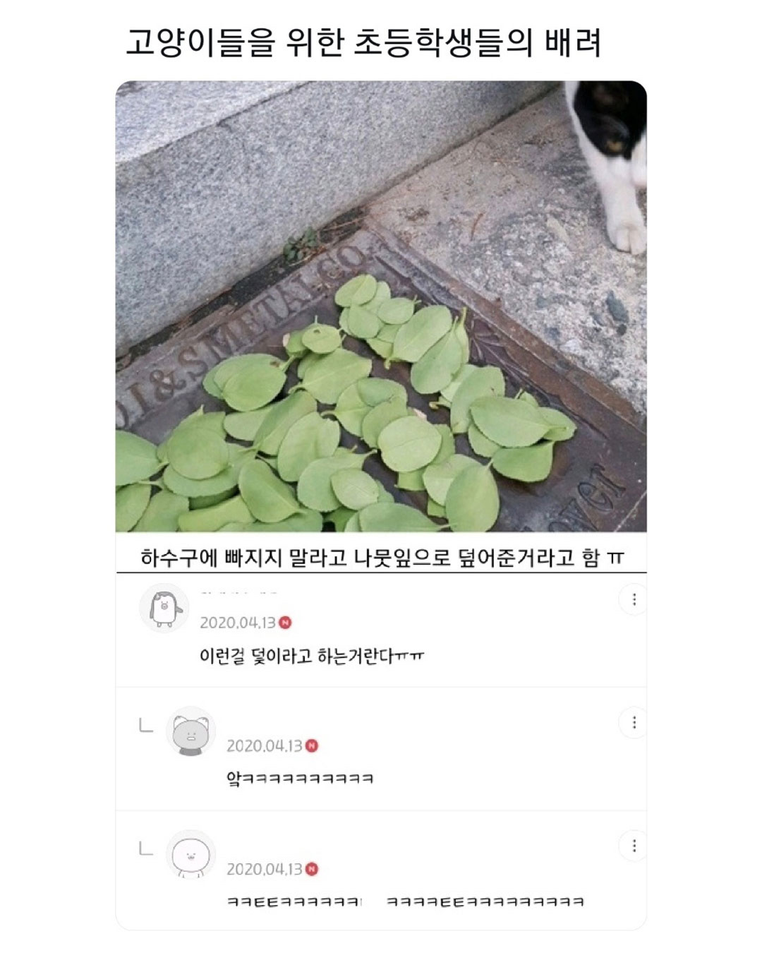 게시물 이미지