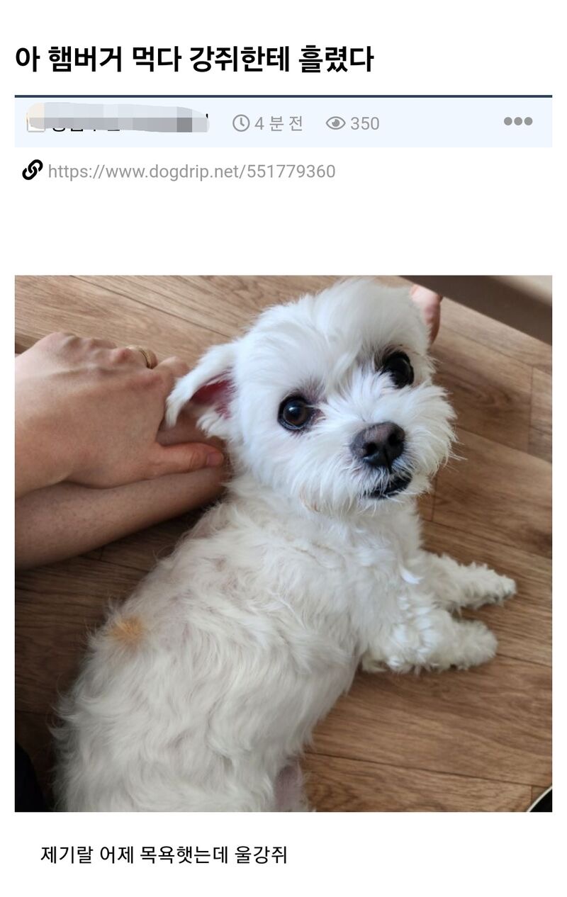 게시물 이미지