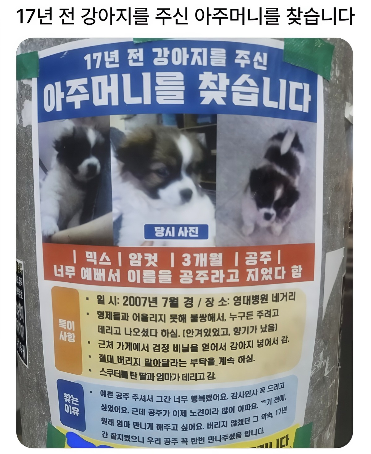 게시물 이미지