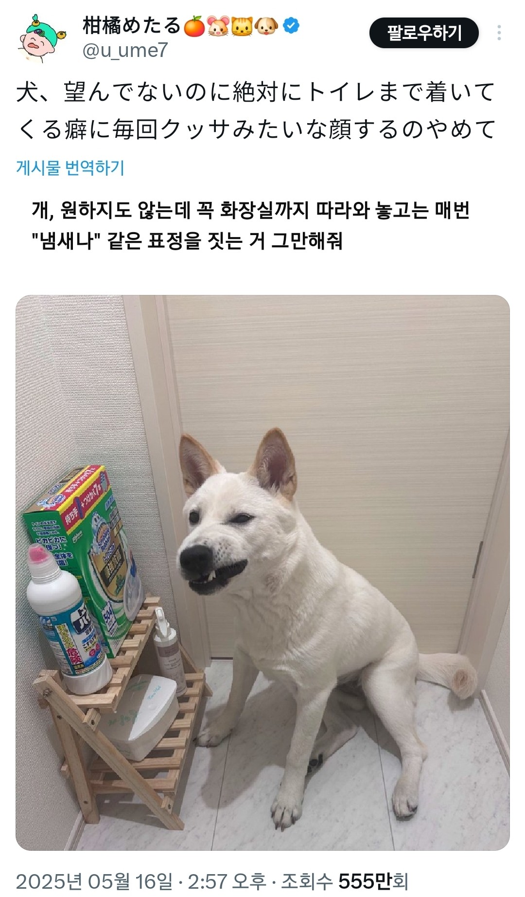 게시물 이미지