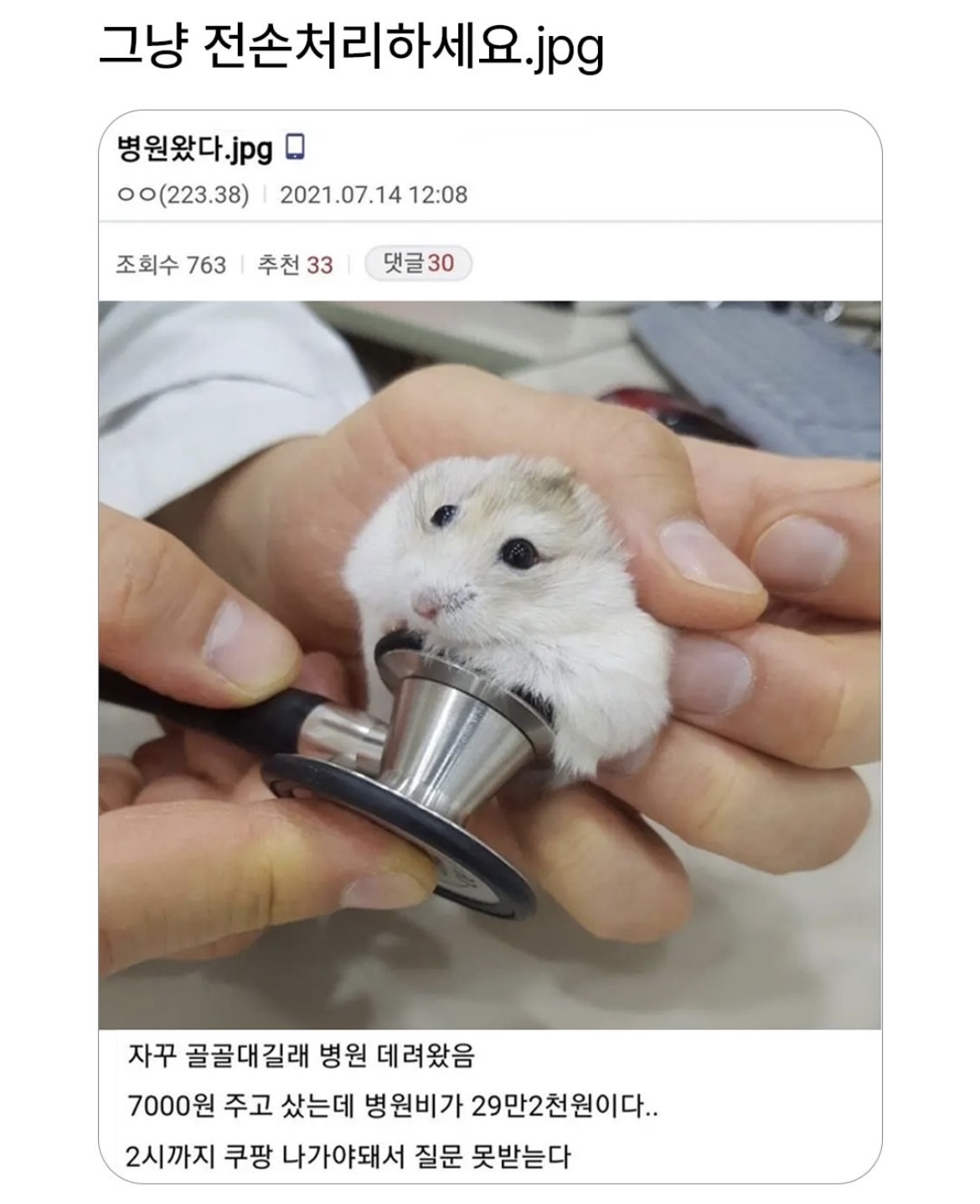 게시물 이미지