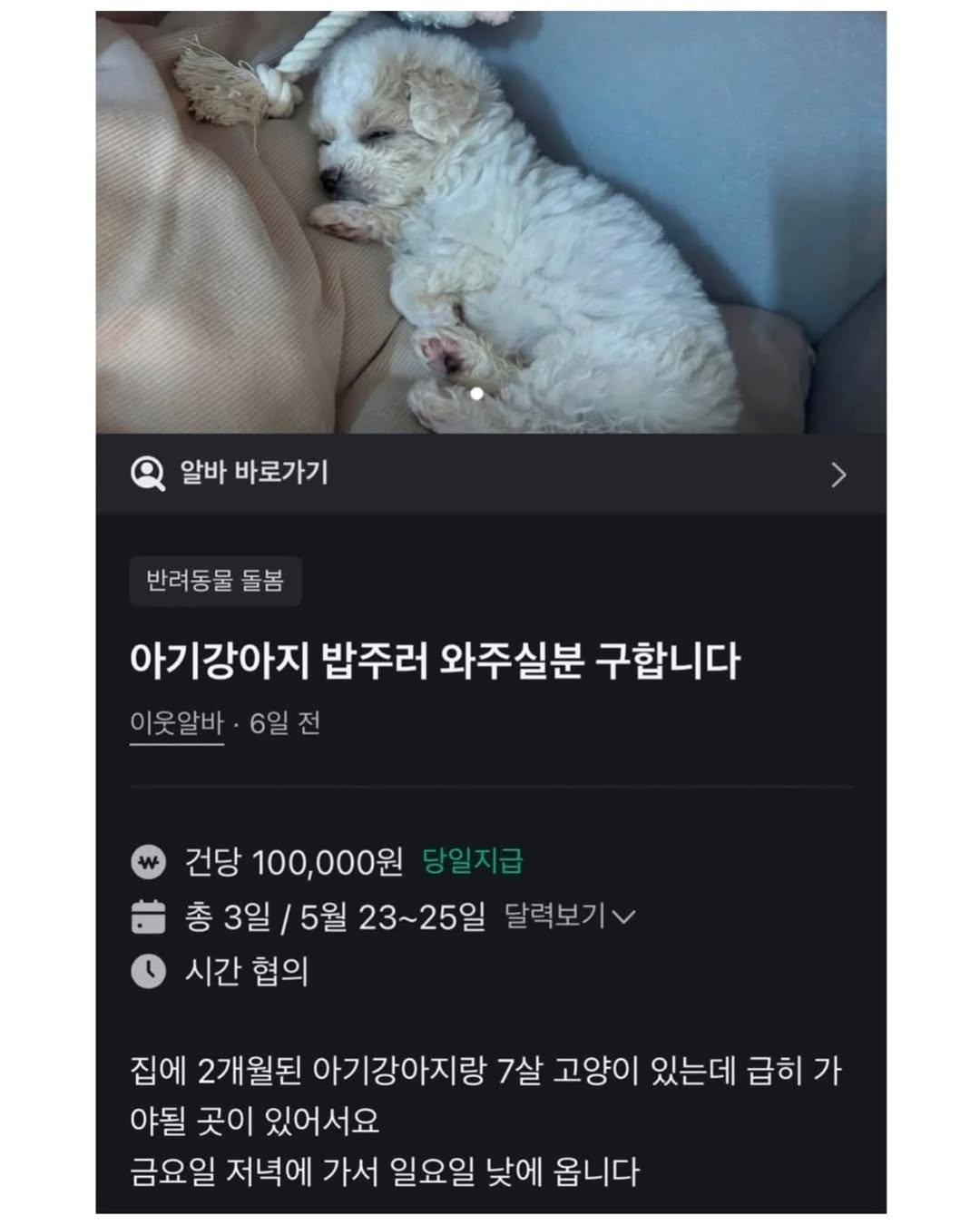게시물 이미지