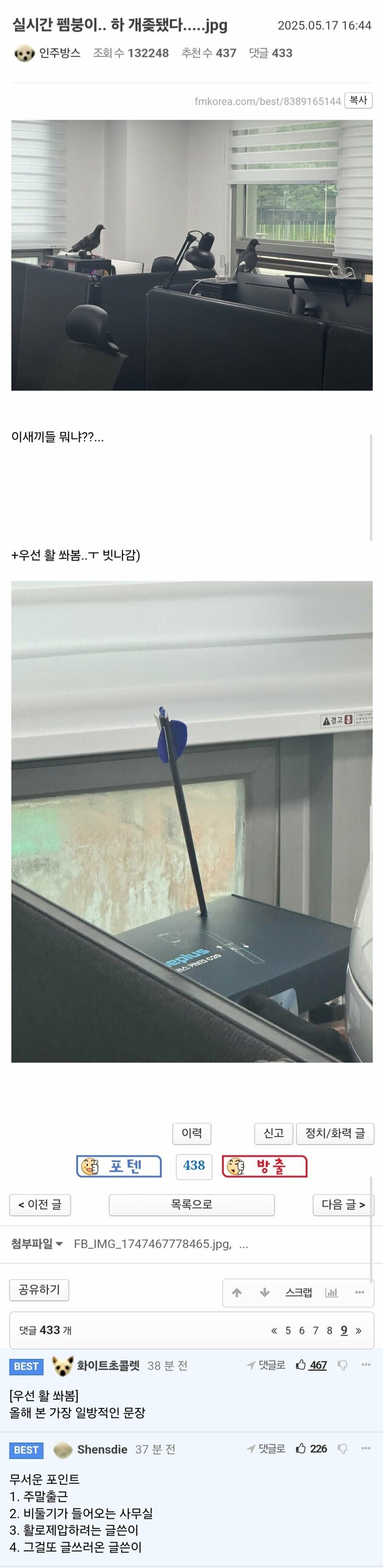 게시물 이미지
