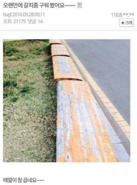 게시물 이미지
