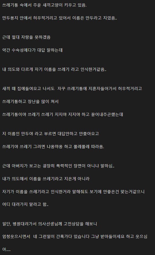 게시물 이미지