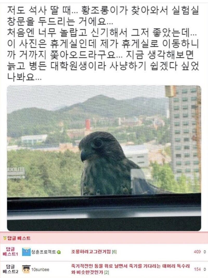 게시물 이미지