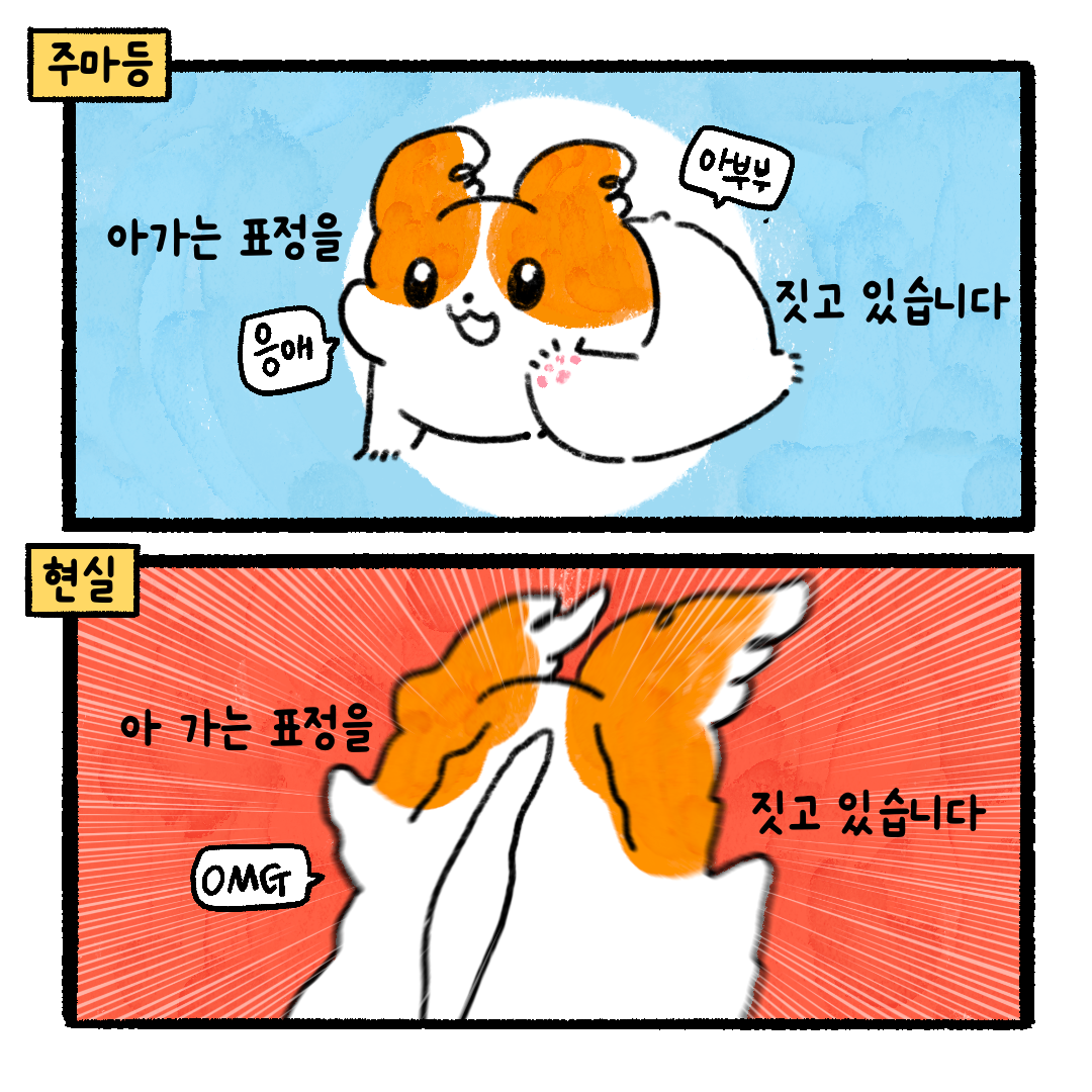 게시물 이미지