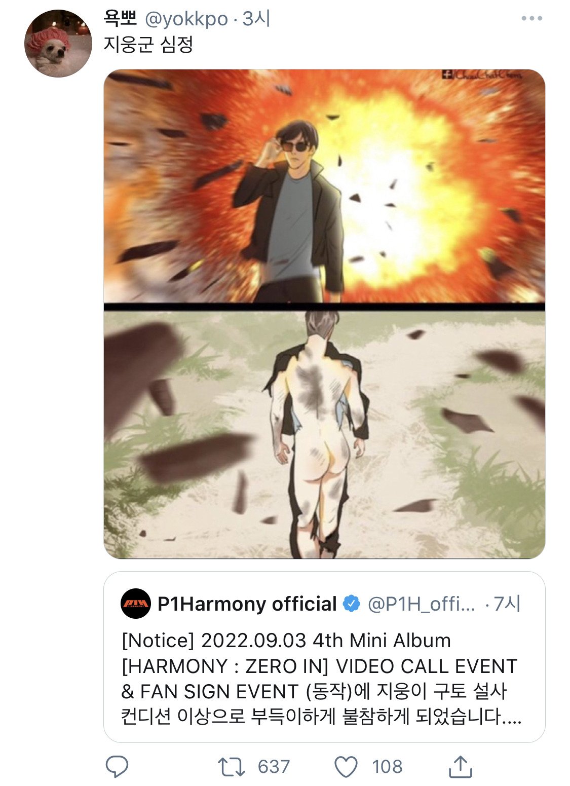 게시물 이미지