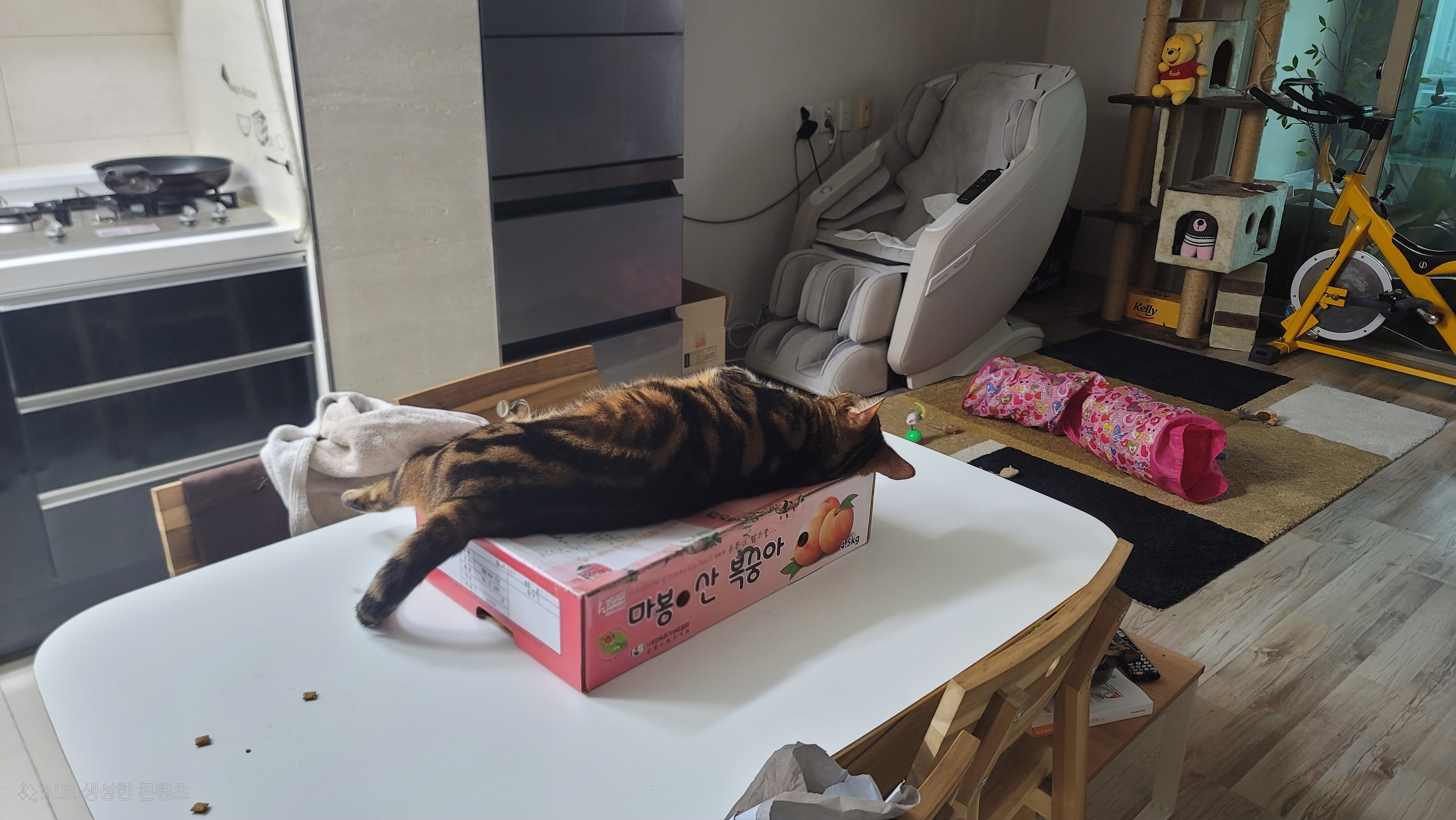 게시물 이미지