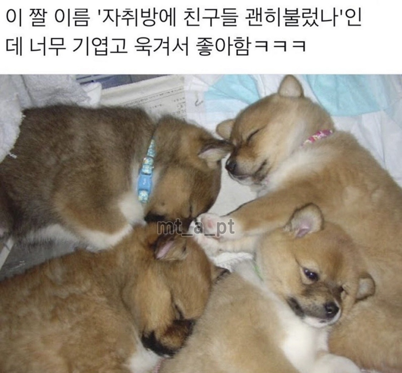 게시물 이미지