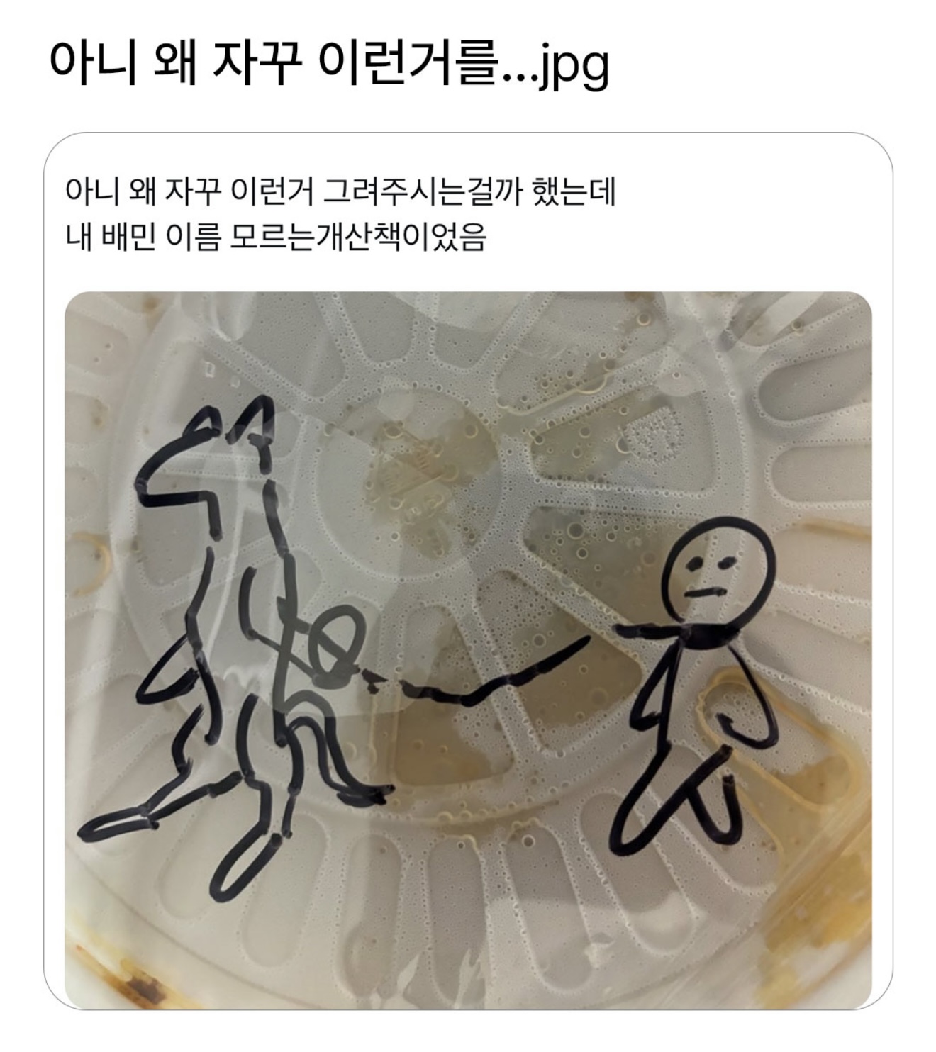 게시물 이미지