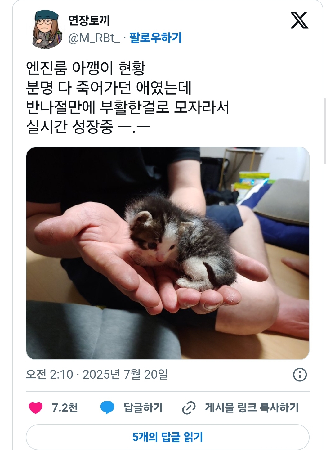 게시물 이미지