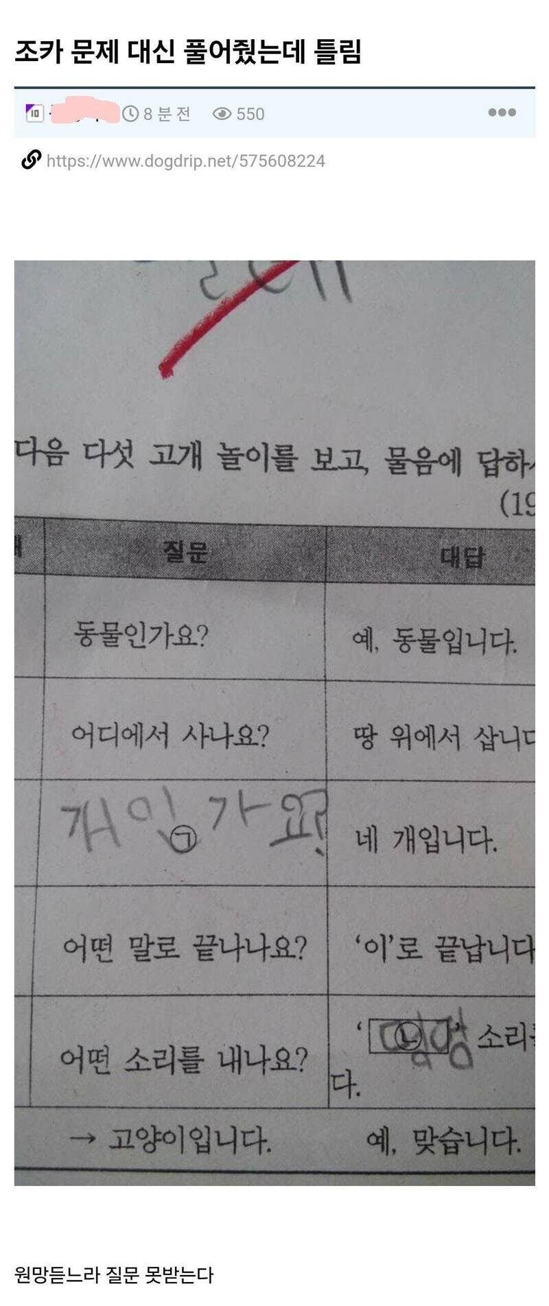 게시물 이미지