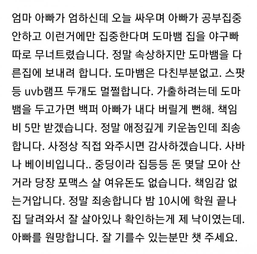 게시물 이미지
