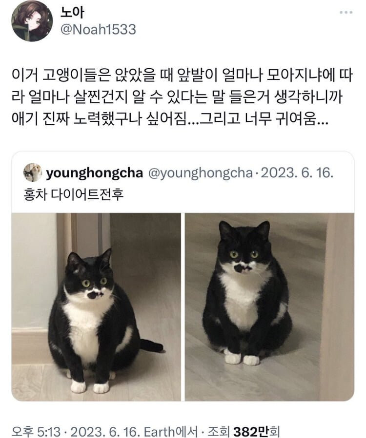 게시물 이미지