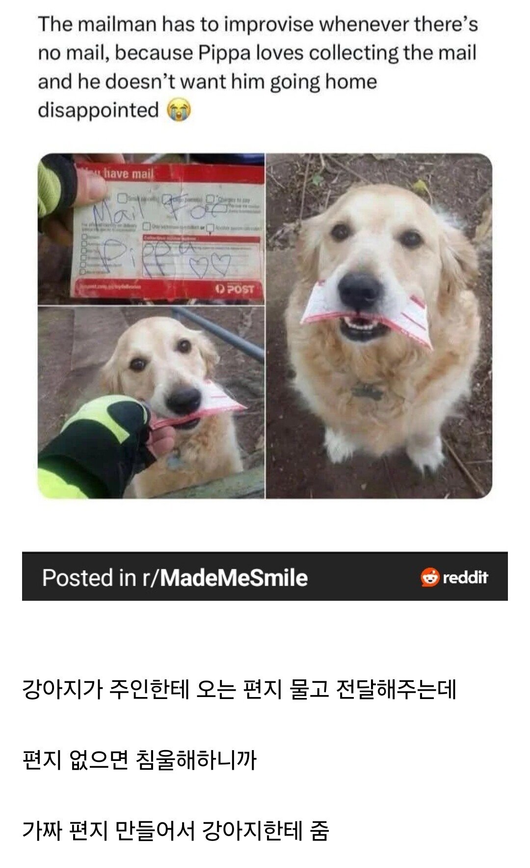 게시물 이미지
