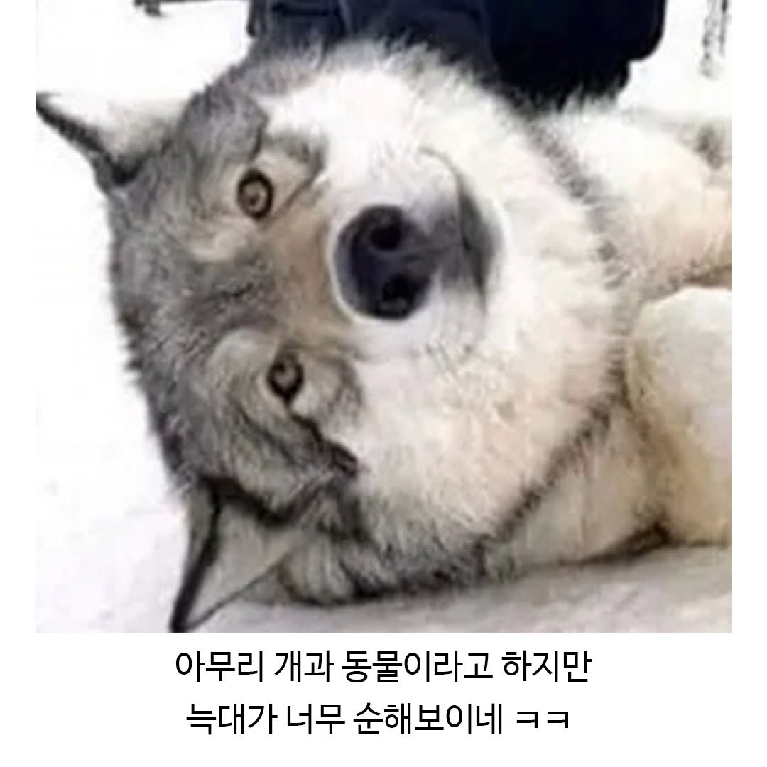 게시물 이미지