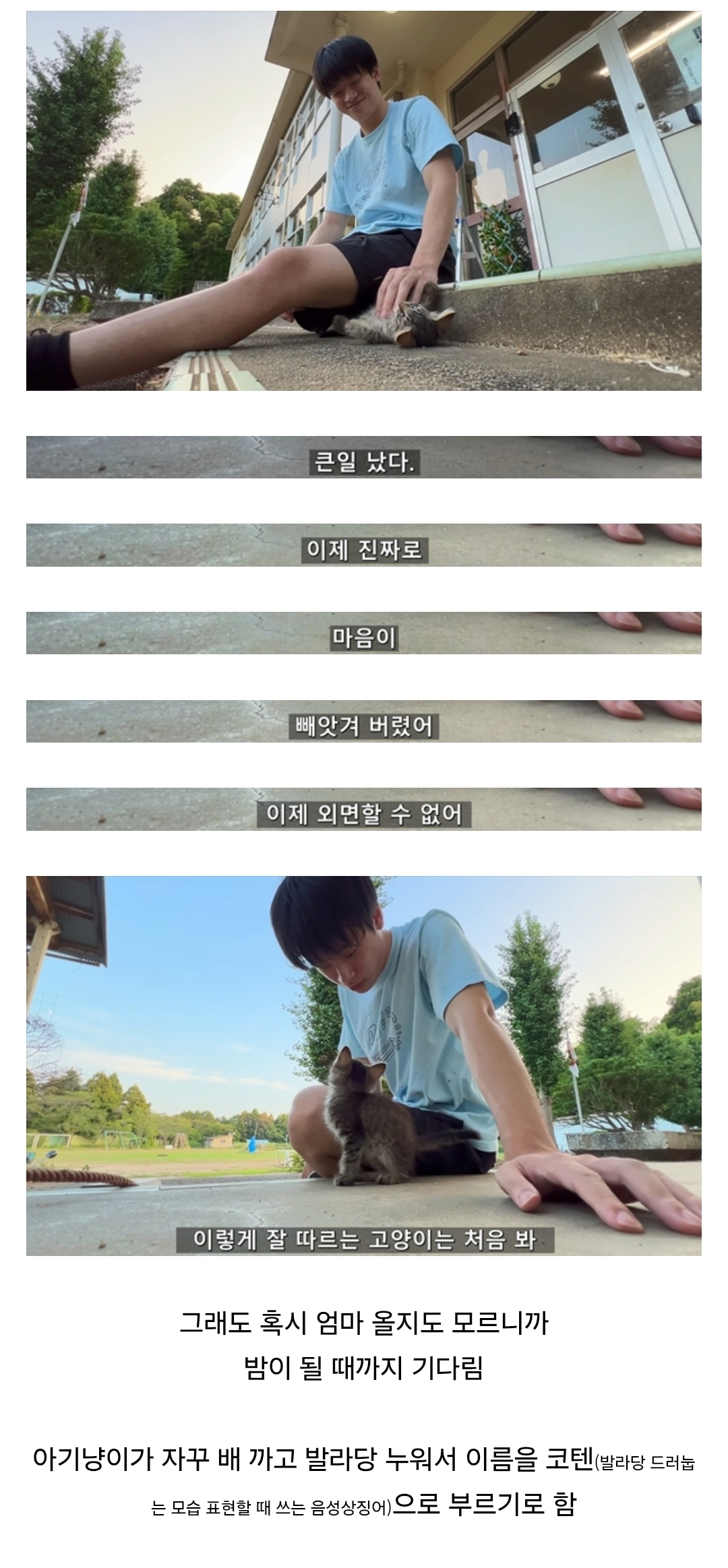 게시물 이미지