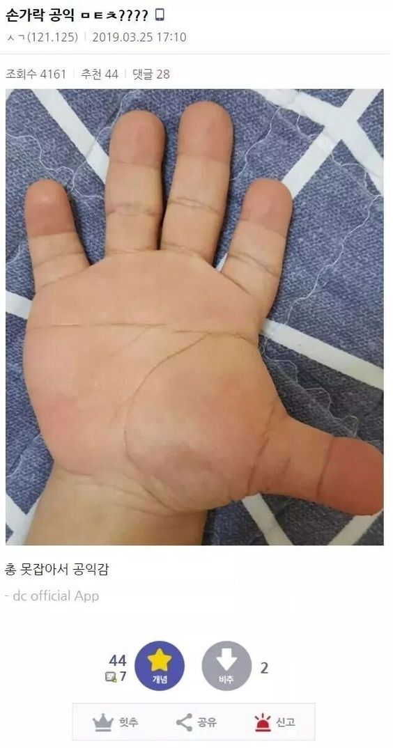 게시물 이미지
