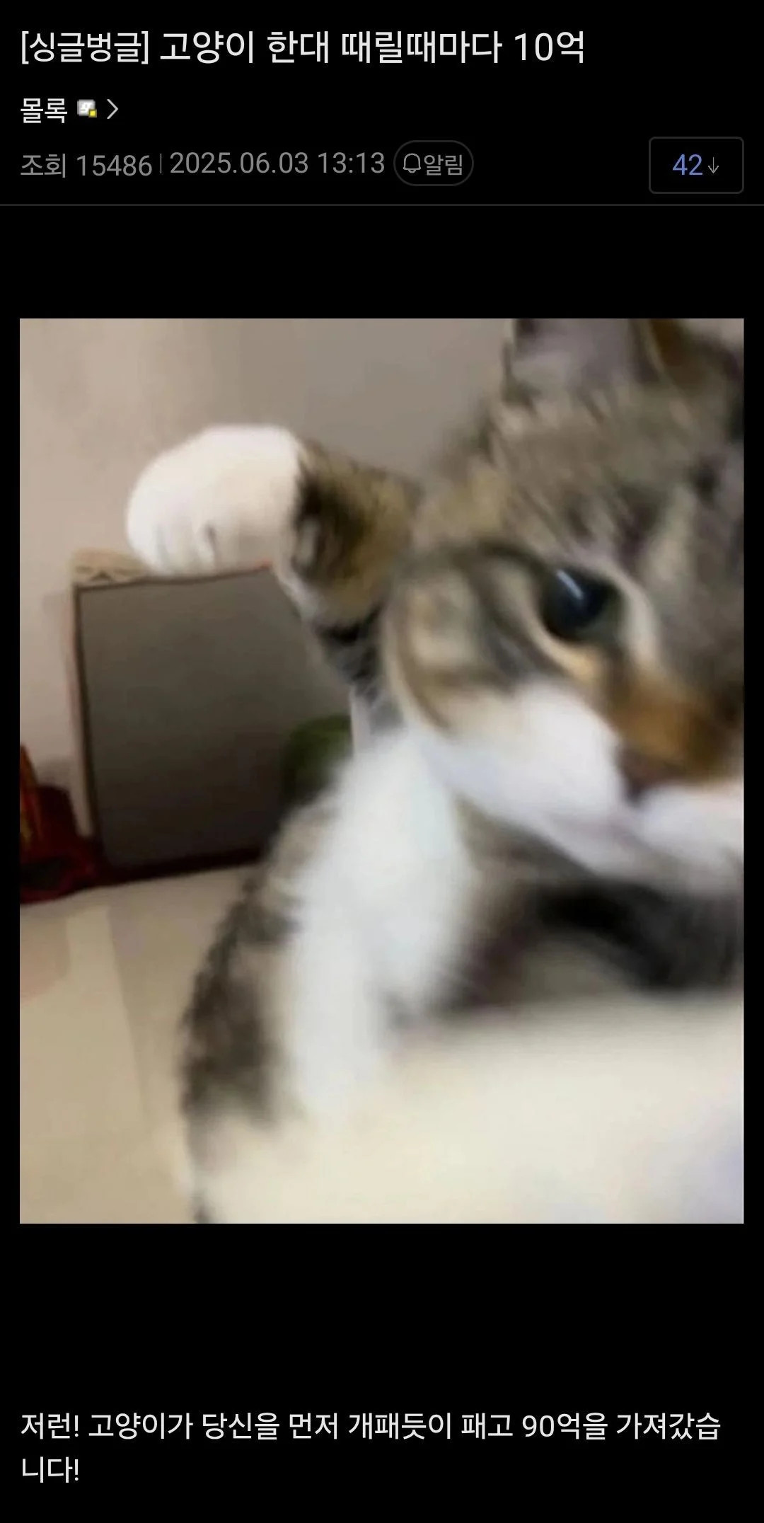 게시물 이미지