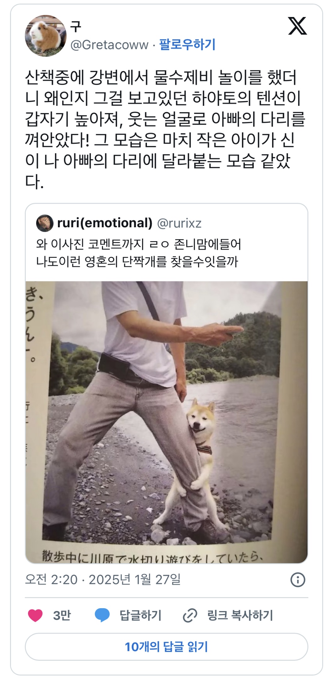 게시물 이미지